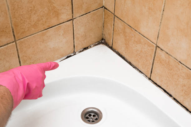 Best Residential Mold Removal  in Centerton, AR